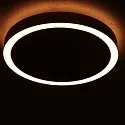 Steinhauer ceiling luminaire RINGLUX IP20, dimmable