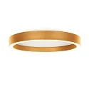 Steinhauer ceiling luminaire RINGLUX IP20, dimmable