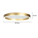 Steinhauer ceiling luminaire RINGLUX IP20, dimmable