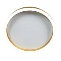 Steinhauer ceiling luminaire RINGLUX IP20, dimmable