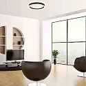 Steinhauer ceiling luminaire RINGLUX IP20, dimmable