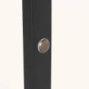 floor lamp RINGLUX 2 flames IP20, black dimmable