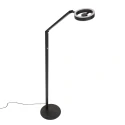 Steinhauer floor lamp RINGLUX 2 flames IP20, black dimmable