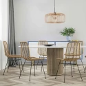 Steinhauer pendant luminaire BREEZA BEACH 1 flame E27 IP20, black dimmable