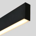 pendant luminaire BRIGHTLINE 2 flames IP20, black dimmable