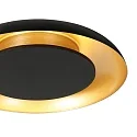 Steinhauer ceiling luminaire GOLDEN VEIL IP20, dimmable