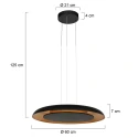 Steinhauer pendant luminaire GOLDEN VEIL 2 flames IP20, black dimmable