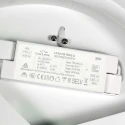Steinhauer ceiling luminaire FLADY 2 flames IP20, gold dimmable
