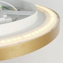 Steinhauer ceiling luminaire FLADY 2 flames IP20, gold dimmable