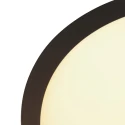 ceiling luminaire FLADY 2 flames IP20, black dimmable