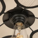 anne light & home pendant luminaire LUMAFLORA 1 flame E27 IP20, black dimmable
