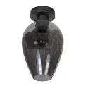 ceiling luminaire DROVIA 1 flame E27 IP20, black dimmable