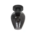 Mexlite ceiling luminaire DROVIA 1 flame E27 IP20, black dimmable