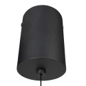 Steinhauer pendant luminaire ALISIO 1 flame IP20, black dimmable