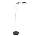 floor lamp GLOWGO IP20, dimmable