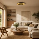 Steinhauer ceiling luminaire GOLDEN VEIL 2 flames IP20, black dimmable
