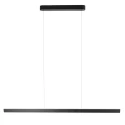 pendant luminaire KAROL 2 flames IP20, black dimmable