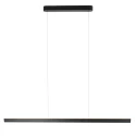 Steinhauer pendant luminaire KAROL 2 flames IP20, black dimmable