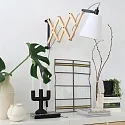 Mexlite Mexlite Wall luminaire DION, 1 flame, beech
