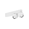 ceiling luminaire LECA 2.0 2 flames, cardanic swivelling IP20, white matt dimmable