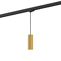 Pendant luminaire RAY 2.0 PAR 16 for 3-phase tracks, GU10 max. 12W, incl. adapter, gold