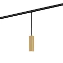 1-phase pendant luminaire RAY SUSP ON TRACK 1-PHASE 2.0 PAR16 GU10 IP20, champagner dimmable