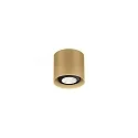 spot RAY MINI CEILING SURF 1.0 PAR16 GU10 IP20, champagner dimmable