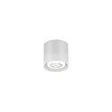 spot RAY MINI CEILING SURF 1.0 PAR16 GU10 IP20, white matt 