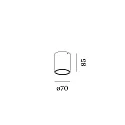 Wever & Ducré downlight RAY MINI 1.0 down, cylindrical, surface-mounted version IP20, champagner dimmable