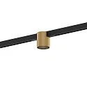track spot RAY ON STREX 1.0 IP20, champagner, black matt 